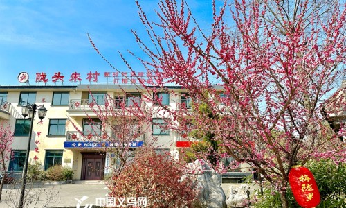 塞来昔布胶囊0.2g一次吃几粒-塞来昔布胶囊的图片网- 塞来昔布胶囊的图片及价格知识,分享塞来昔布胶囊对结石疼效果怎么样
