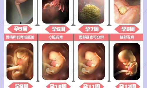 塞来昔布胶囊对股骨头痛有帮助吗-塞来昔布胶囊的图片网- 塞来昔布胶囊的图片及价格知识,分享塞来昔布胶囊对结石疼效果怎么样